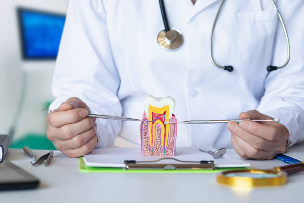 Best Emergency TMJ Treatment in St Elmo, IL